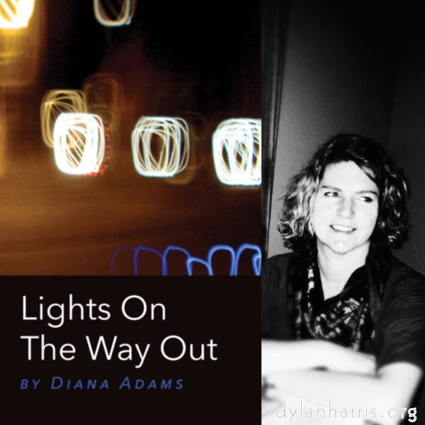 image: Cover of Lights On The Way Out by Diana Adams.