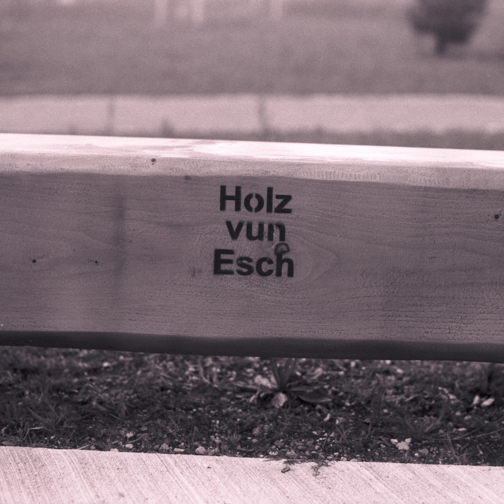 image: This is ‘esch/uelzecht (xlii) 2’.