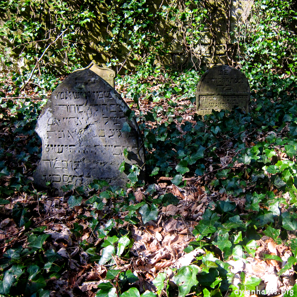 Image 'graveyard (iii) 3'.