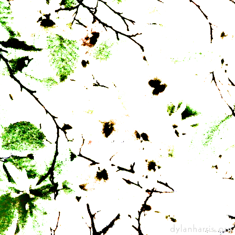 Image 'leaf (iv) 4'.