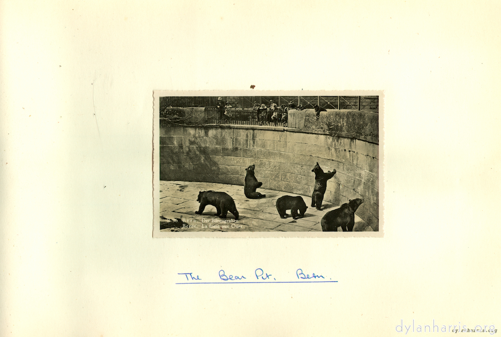 image: The Bear Pit, Bern.