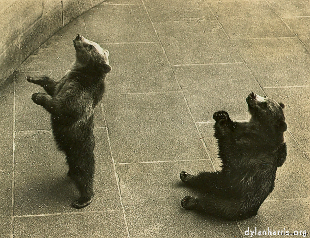 image: Postcard [[ The Bear Pit ]]