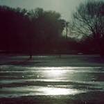 Fourth image from the photoset 'st. neots park (viii)'.