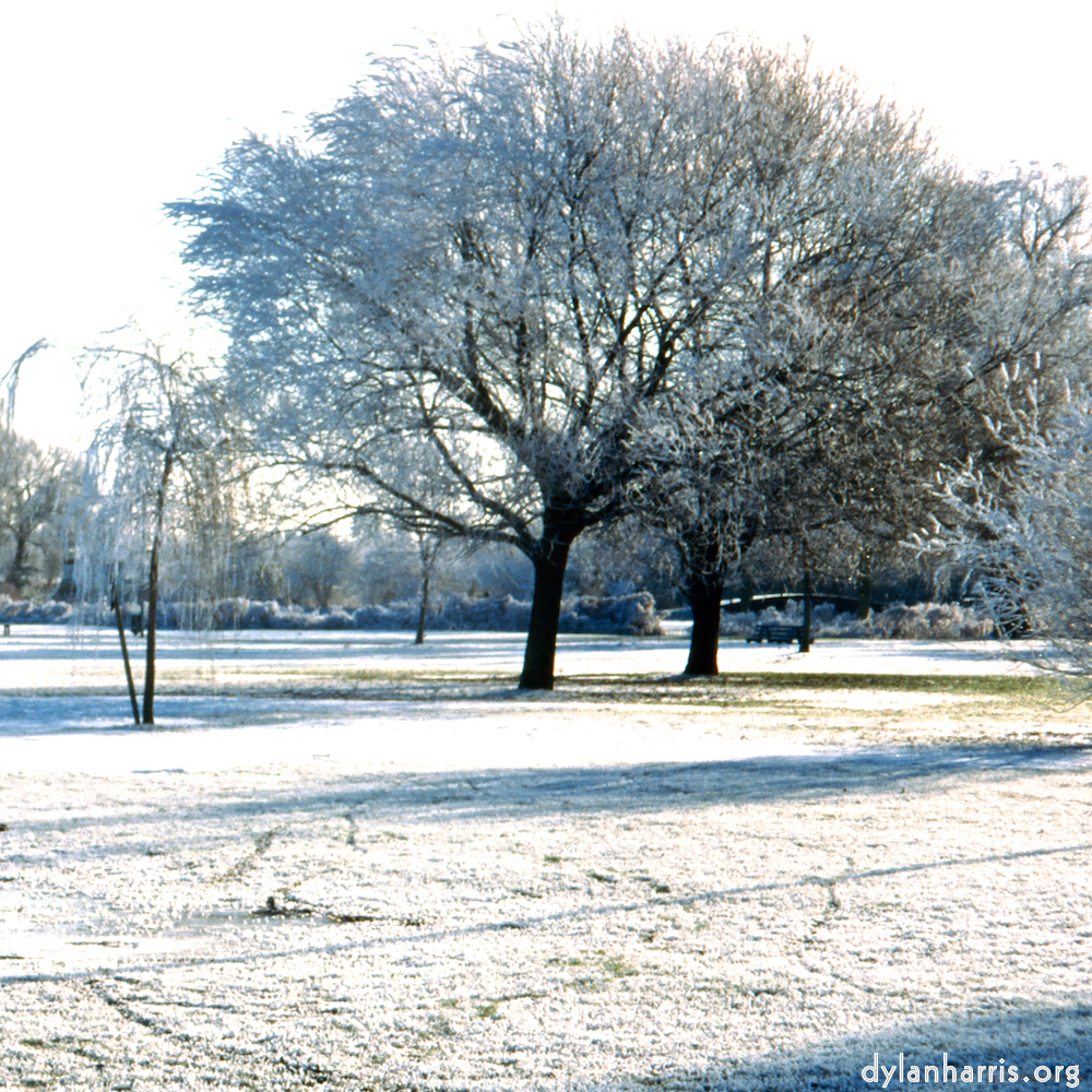 image: This is ‘st. neots park (iv) 6’.