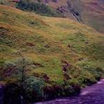 image: Image du photoset ‘highlands (x)’.