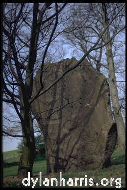 Image 'yorkshire sculpture park (iv) 6'.