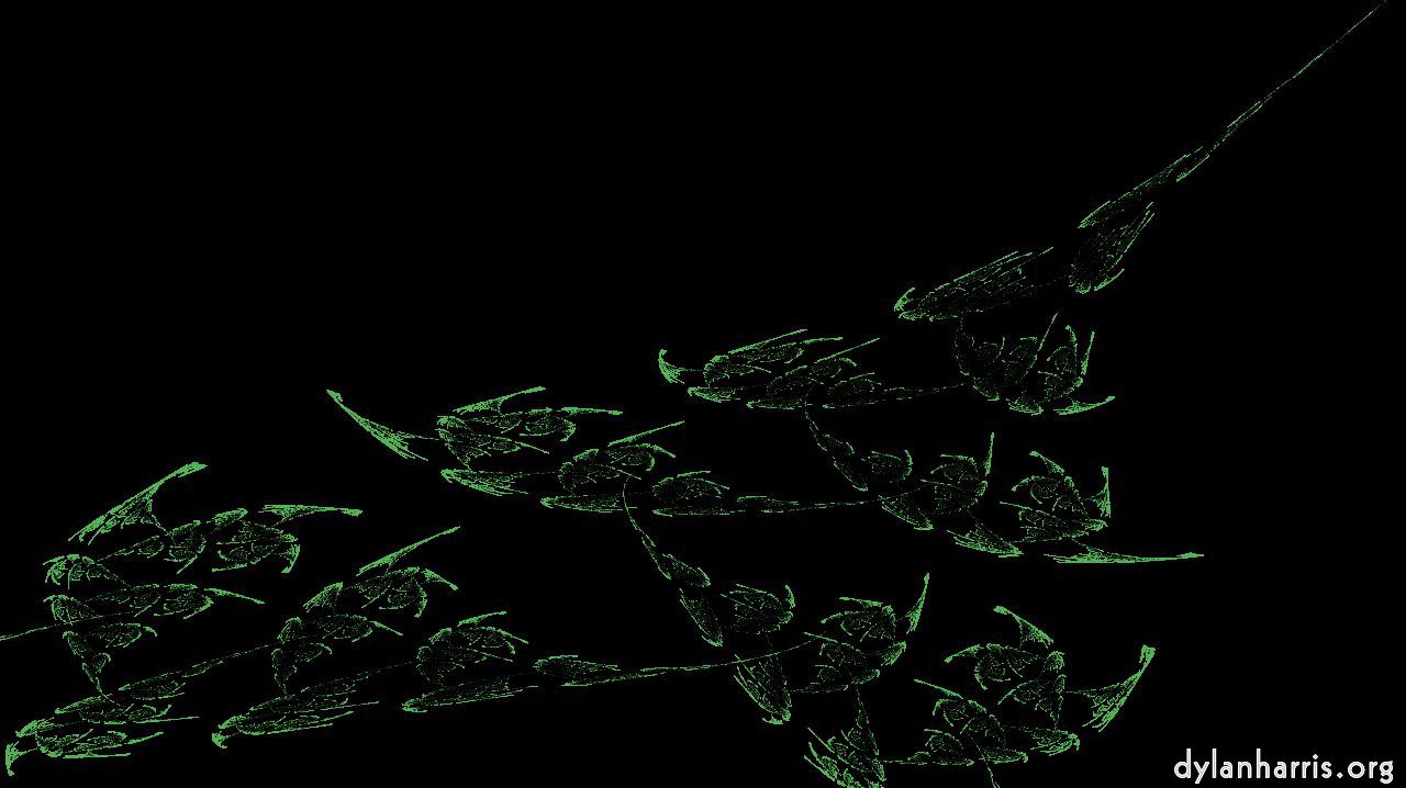 image: attractors plant forms :: plantformattractor2