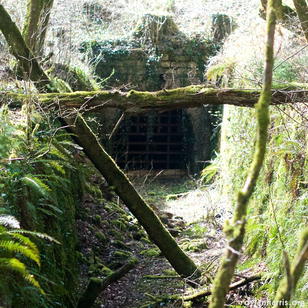 abandoned narrow gauge railway tunnel entrance