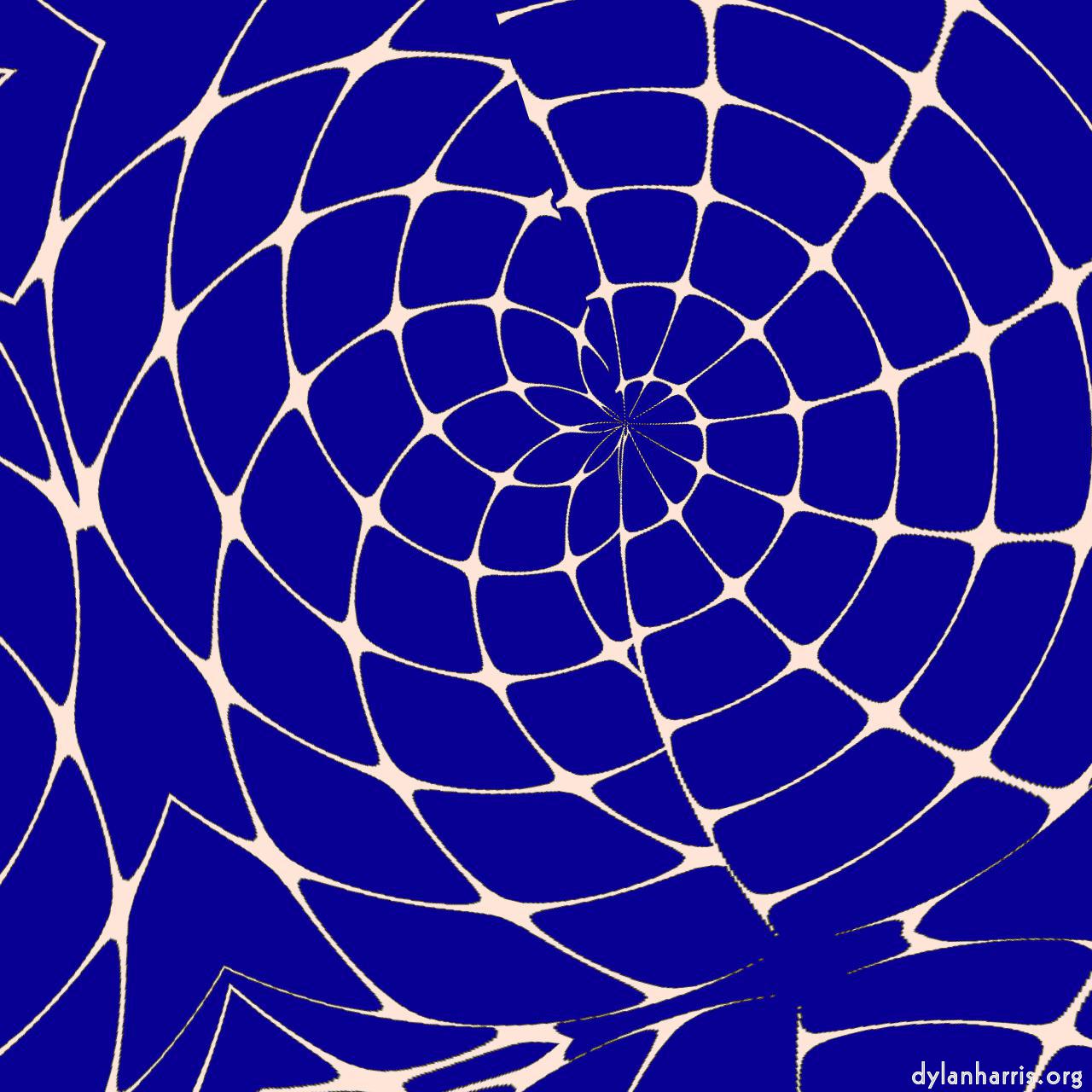 Image: complex attractors :: web