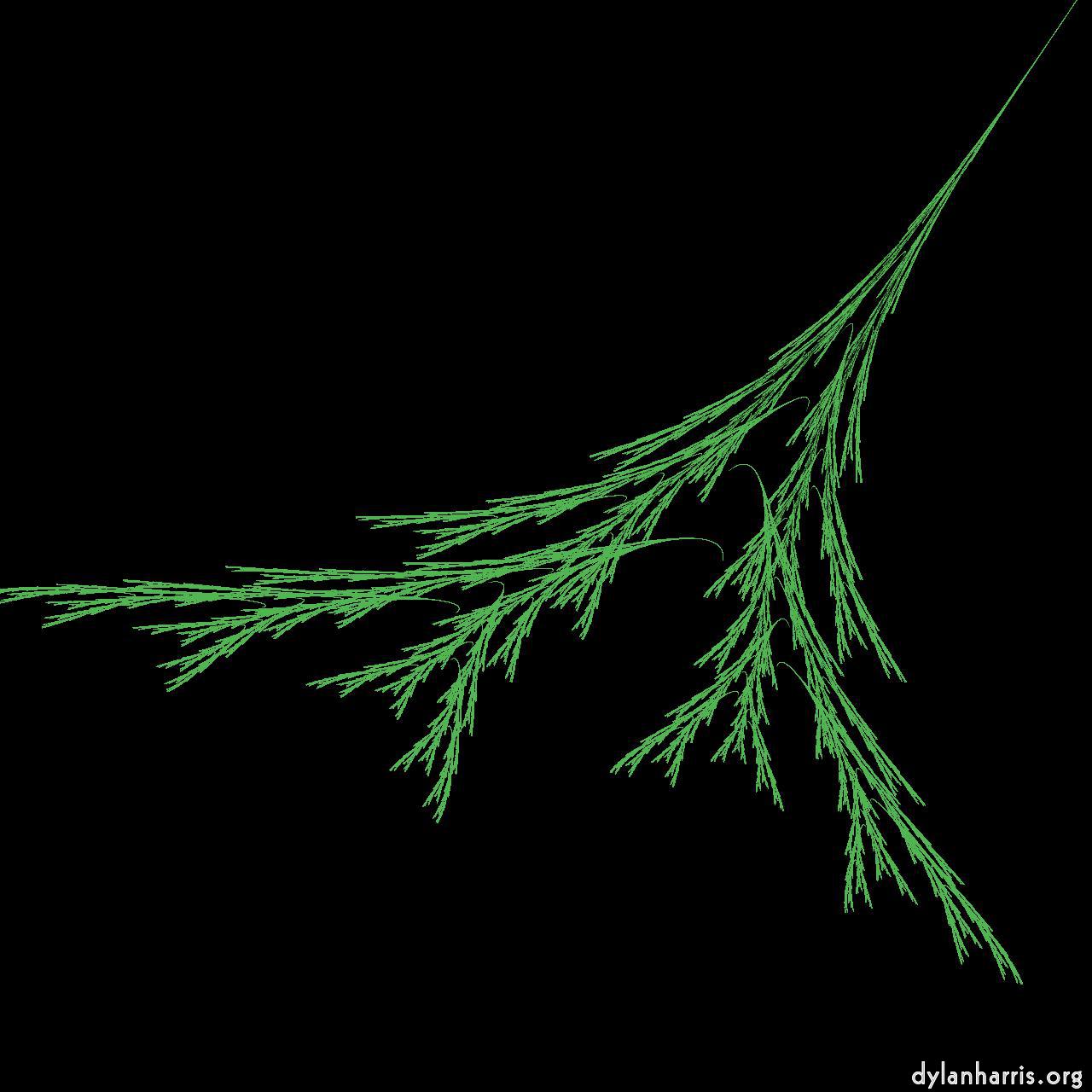 Image: storage presets :: plant form attractor 3