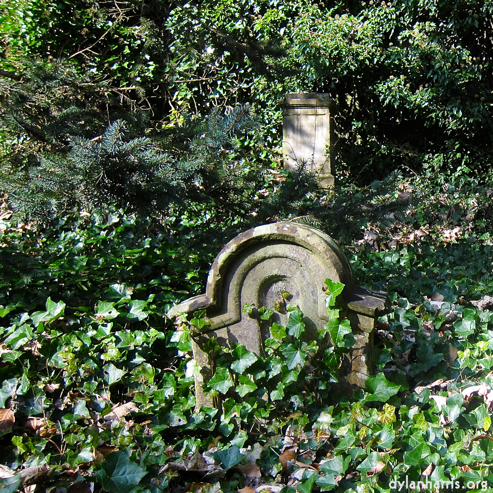 Image 'graveyard (iii) 2'.