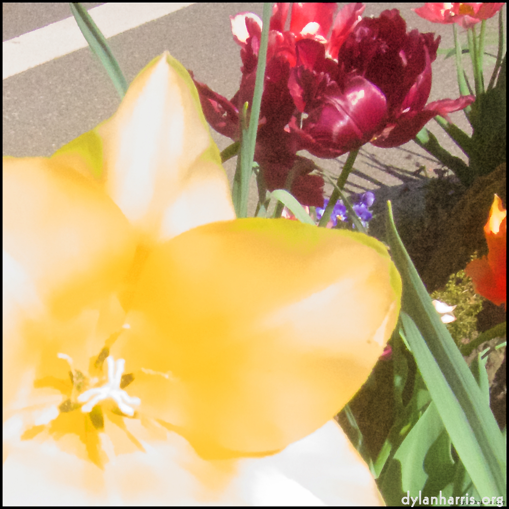 Image 'escher bloemen (x) 5'.