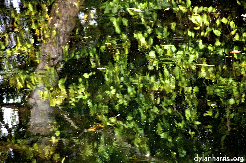 image: rain on pond water