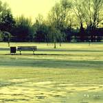 First image from the photoset 'st.neots park (i)'.