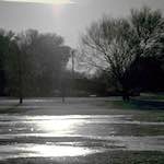 Second image from the photoset 'st.neots park (i)'.