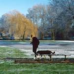 image: Image from the photoset ‘st. neots park (iv)’.