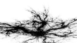 Image: image from bw attractor